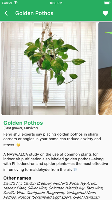 PlantMate - Plant Care Guide Screenshot