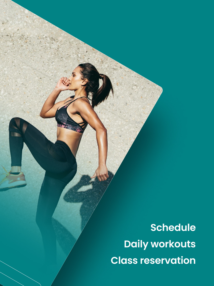 B3 Strength and Performance