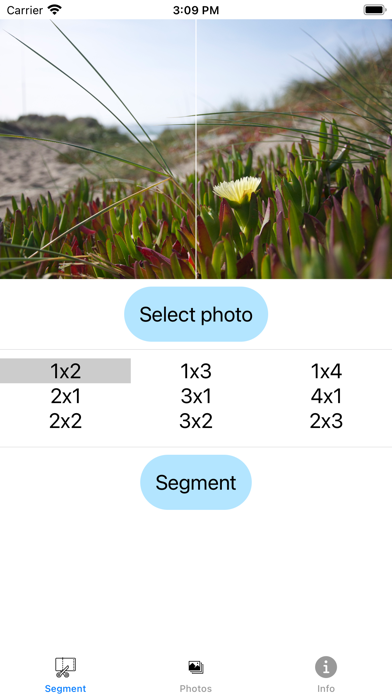 PhotoSegment Screenshot