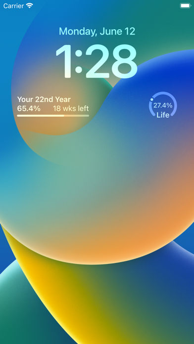 Life Progress - Life Calendar Screenshot