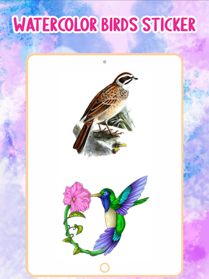 Watercolor Birds Stickers
