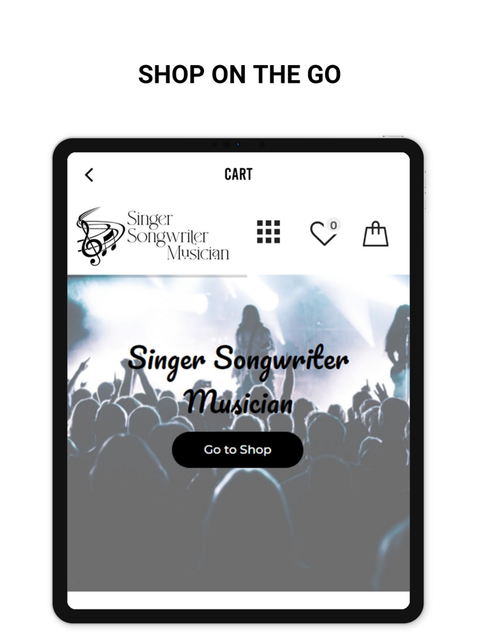 Singer Songwriter Musician