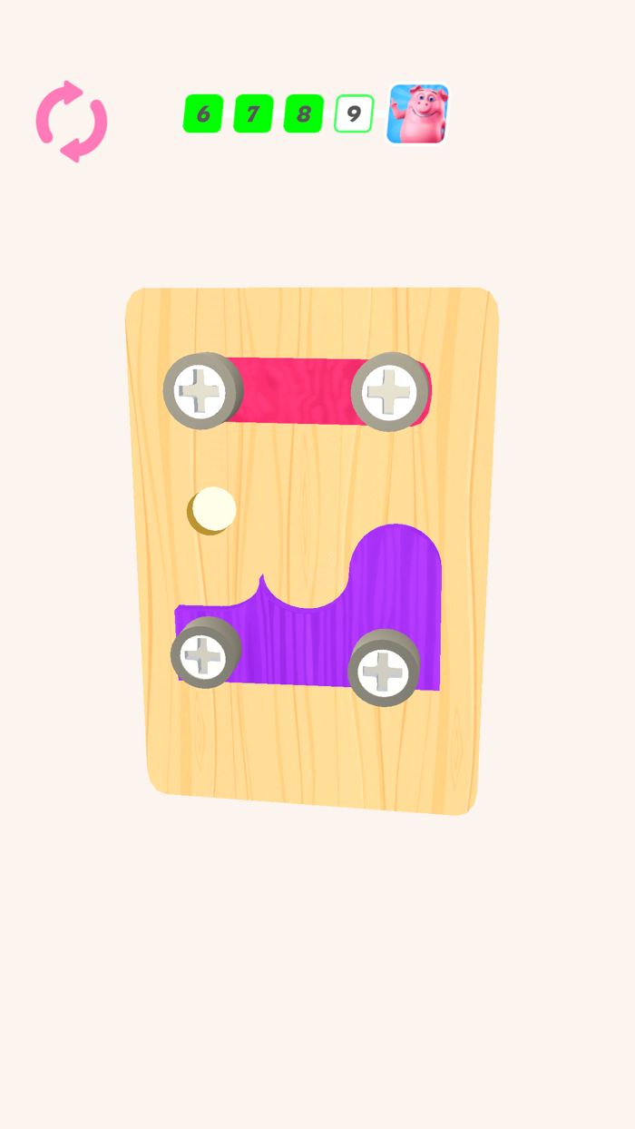 Screw strategy Pin Puzzle