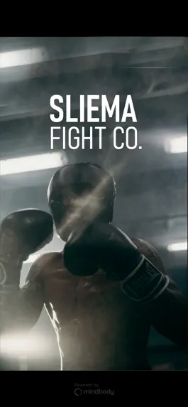 Game screenshot Sliema Fight Co. mod apk