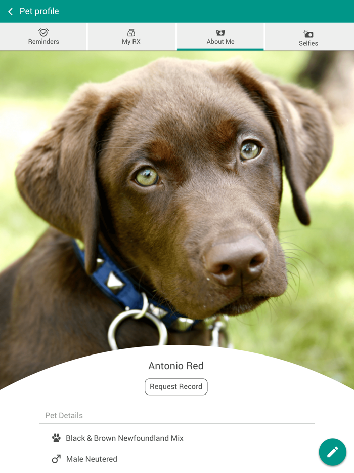 Oak Ridge Animal Clinic