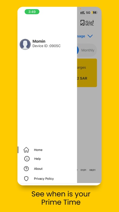 Vetic Energy Screenshot