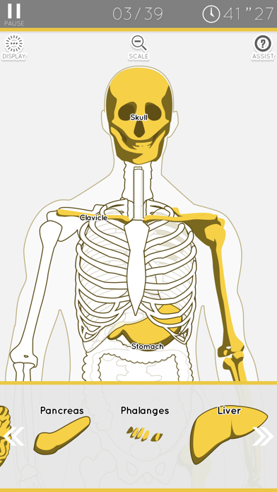 Enjoy Learning Anatomy puzzle Screenshot