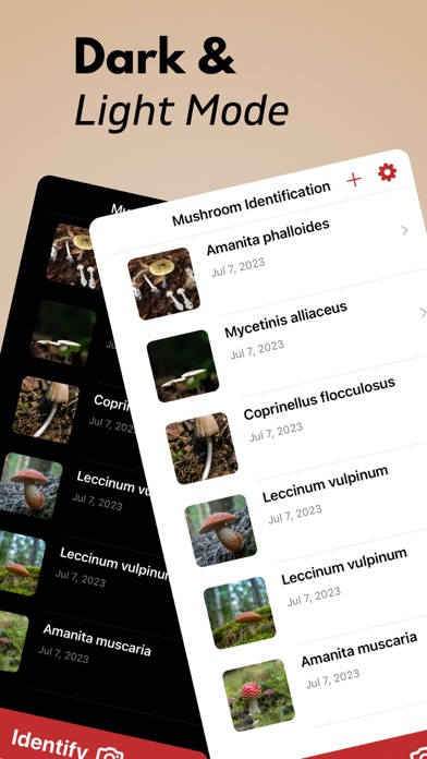 Mushroom Identification+ Screenshot