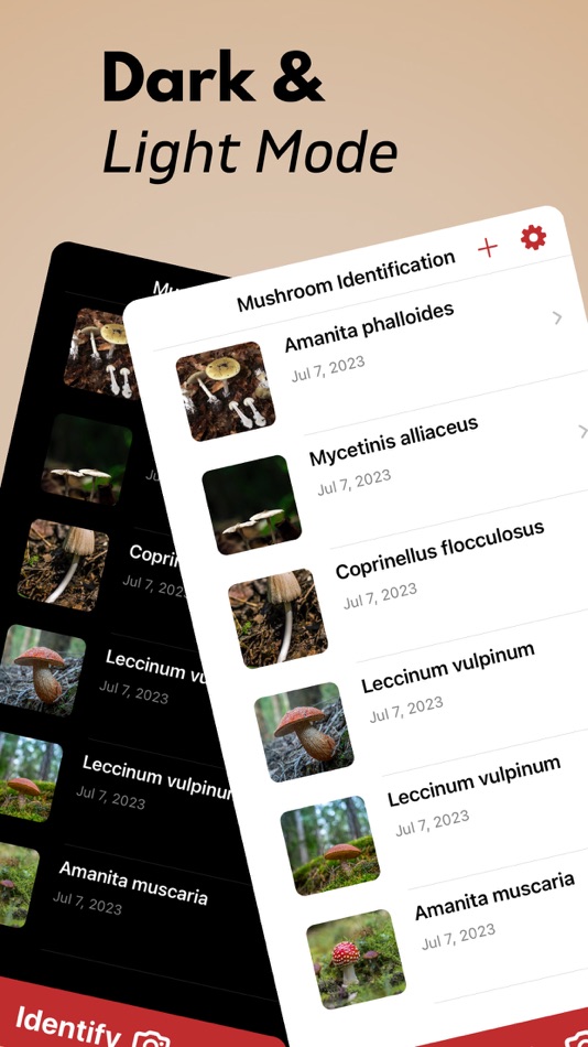 #6. Mushroom Identifier AI (iOS) Podle: Arda Sen