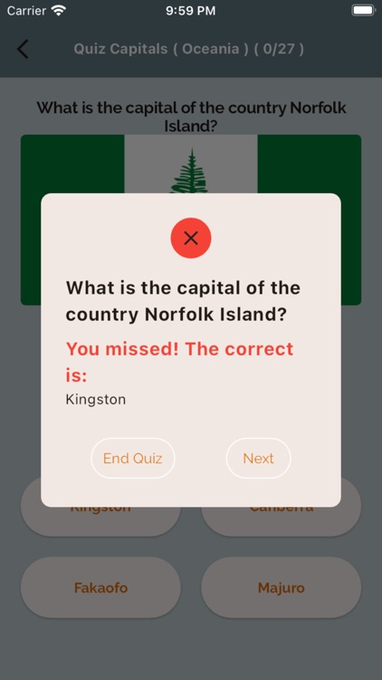 Countries And Flags screenshot-4