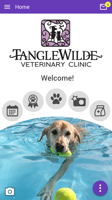 Tanglewilde Vet Screenshot