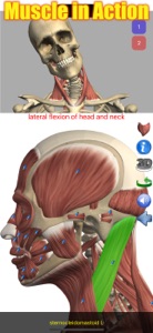 Visual Anatomy screenshot #1 for iPhone