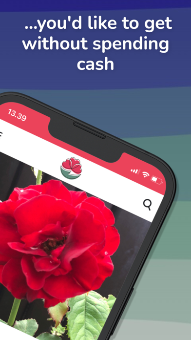 Floragora Screenshot