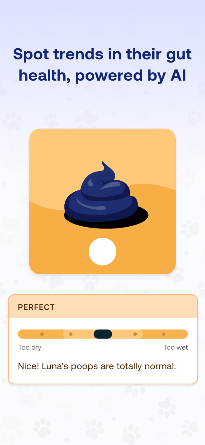 Tapp – Dog Health Tracking