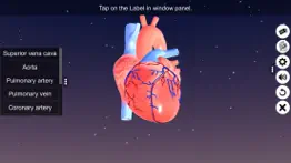 sections of human heart iphone screenshot 3