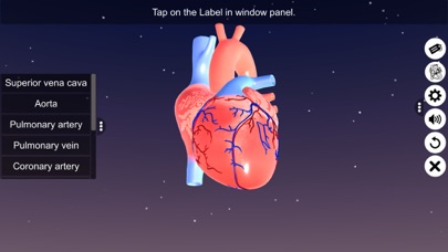 Sections of human heart Screenshot
