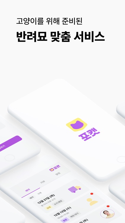 포캣_페팸 캣시터