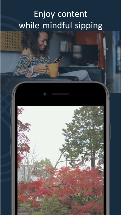 SanZen Screenshot