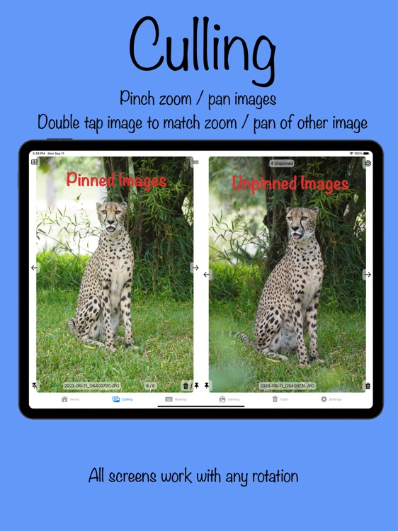 Photo Workflow screenshot-4