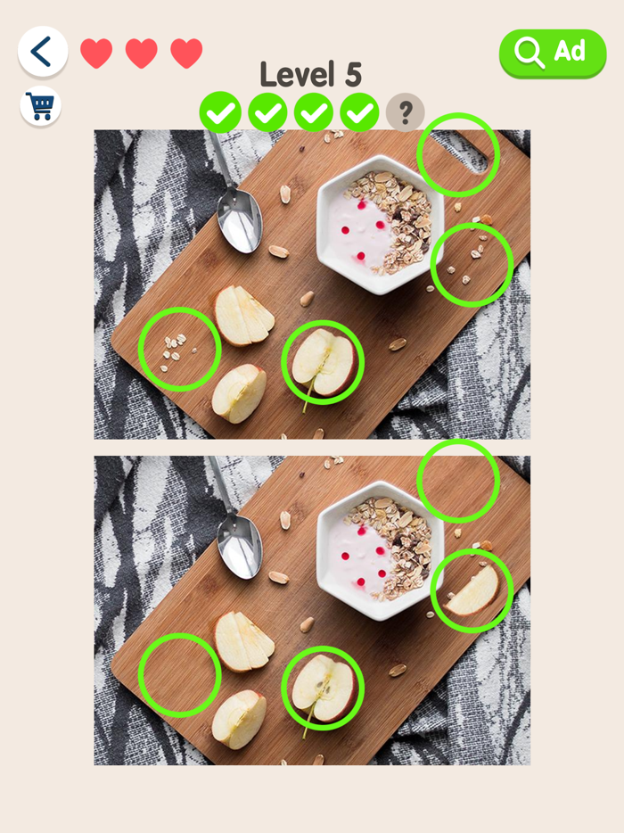 Find Different Picture Puzzle