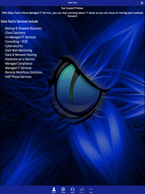 Data-Tech Managed IT iPad screenshot 4 - Business app