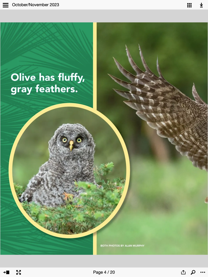 Ranger Rick Cub Magazine