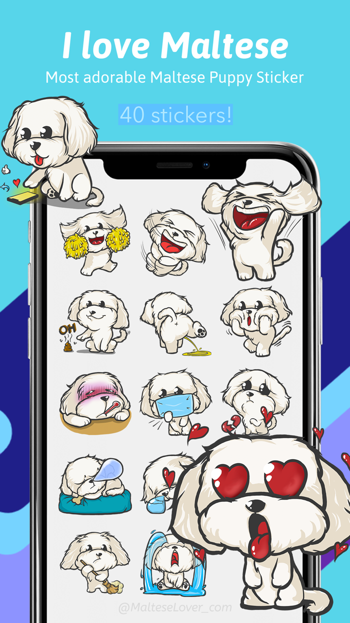 Cutest Maltese Puppy Sticker