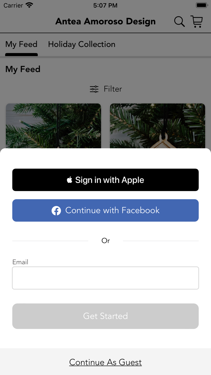 Antea Amoroso Design