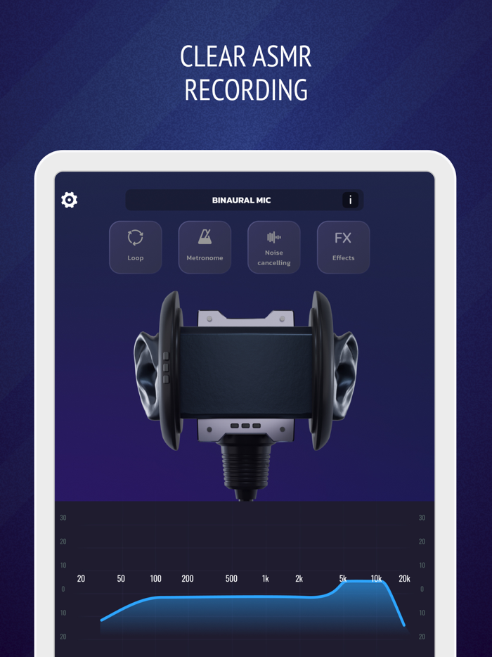 Pro Microphone Voice Record