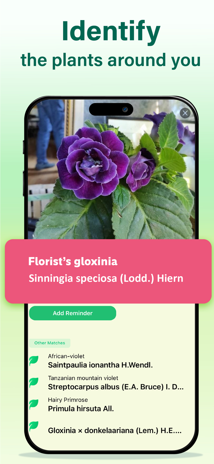 Identify Any Plant Instantly