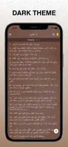 NAV Arabic Audio Bible screenshot #6 for iPhone