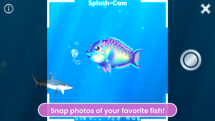 Splash Fish Sanctuary
