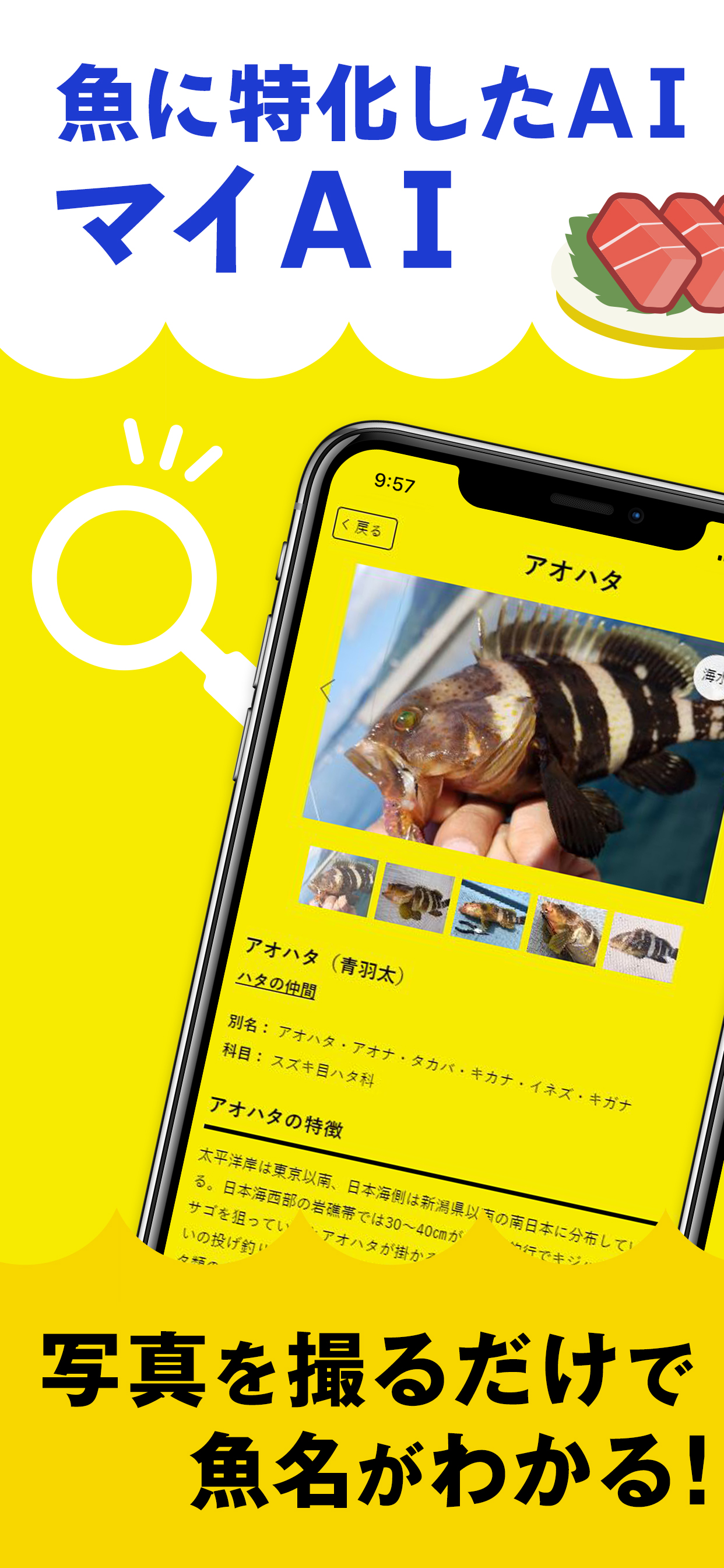 マイAI-AIが魚を判定する新しい魚図鑑
