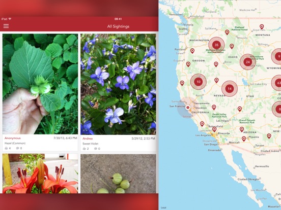 Wild Berries and Herbs LITE iPad app afbeelding 5