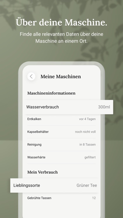 Avoury. The Tea. screenshot-4