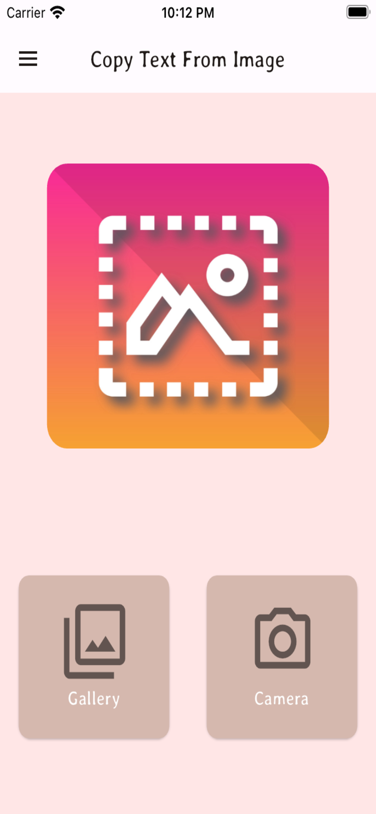 Copy Text From Image