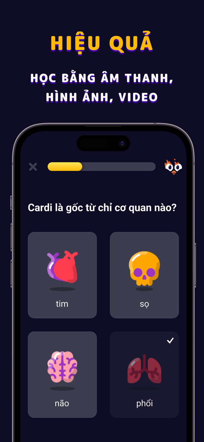 FA Streak - Tiếng Anh Y khoa