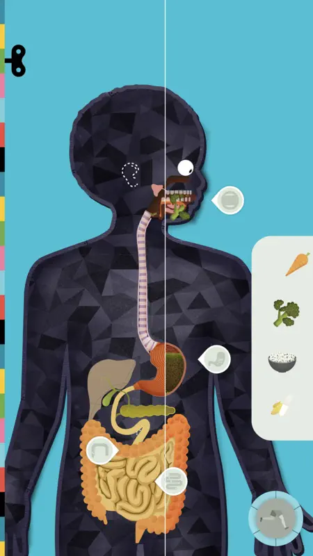El Cuerpo Humano por Tinybop screenshot 1 of 9