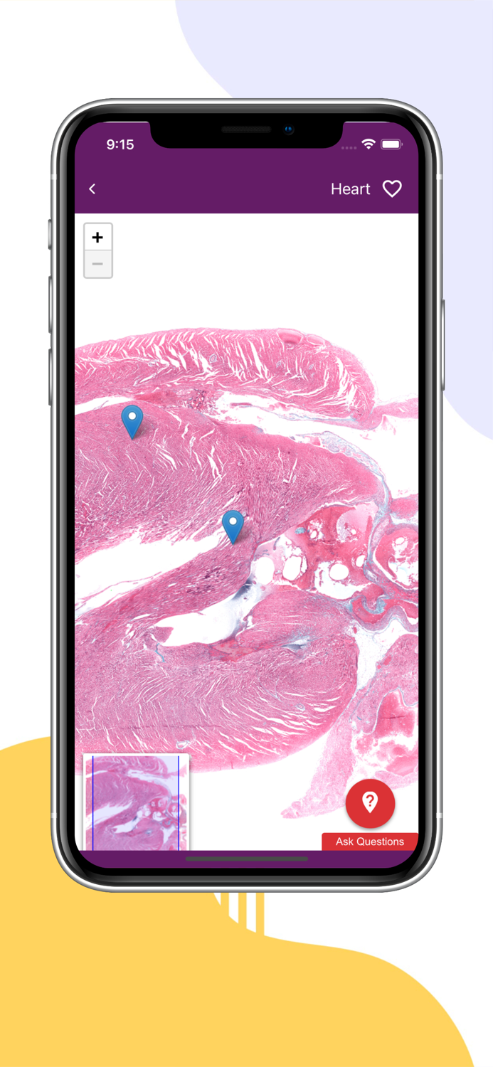 Ehistolab - Histology Slides