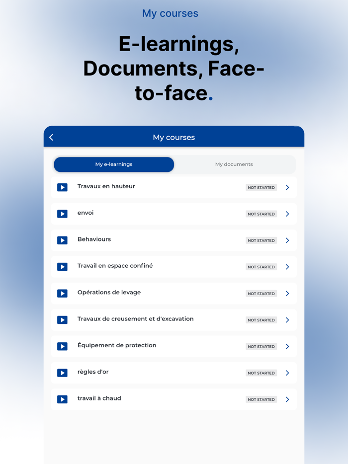 TotalEnergies IZI Safety