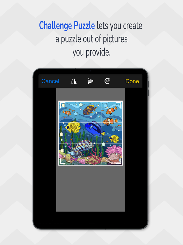 Challenge Puzzle Mystery