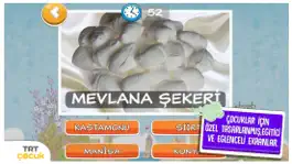 Game screenshot TRT Rüzgar Gülü mod apk