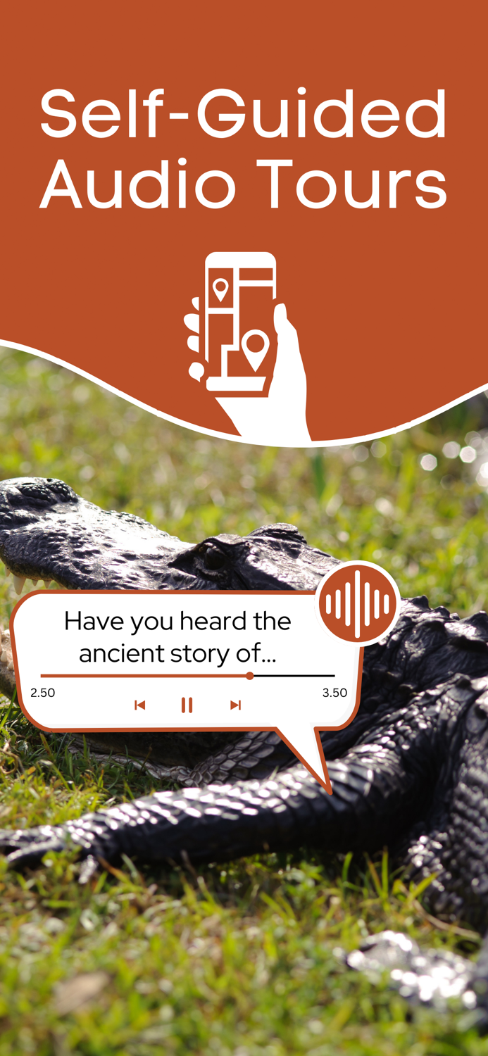 Everglades National Park Tour