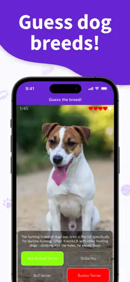 Game screenshot Dog Breeds Training Games Life hack