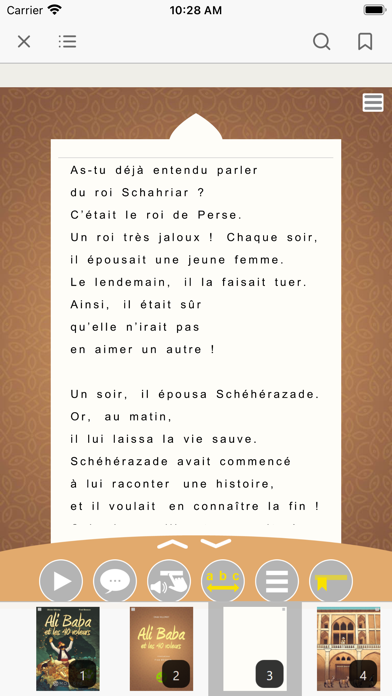 FROG READER Screenshot
