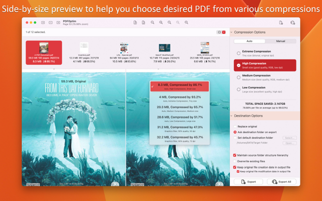 PDFOptim - ภาพหน้าจอโปรแกรมบีบอัดไฟล์ PDF