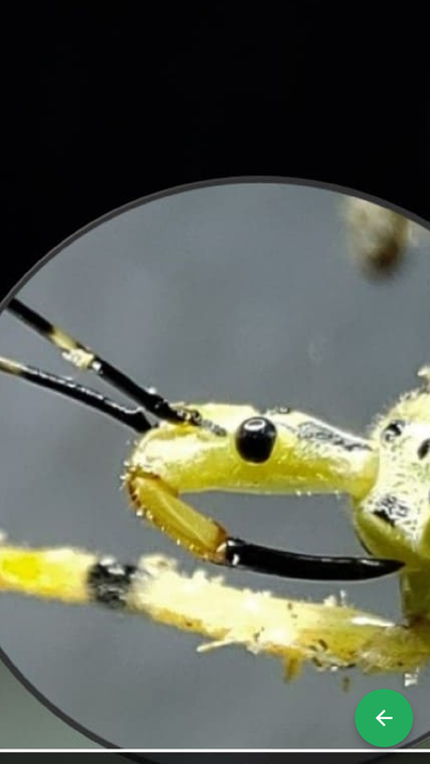 Screenshot #3 pour GID Inimigos Naturais