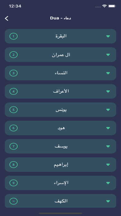 Screenshot #3 pour Arkan al islam