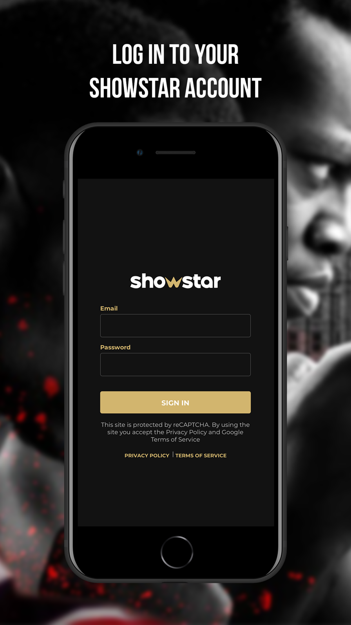 Showstar Boxing Player