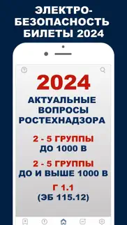 Электробезопасность 2024 Тесты iphone screenshot 1